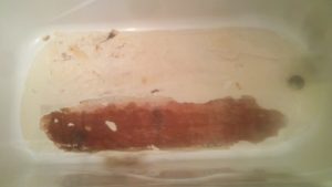 Некачественная акриловая ванна