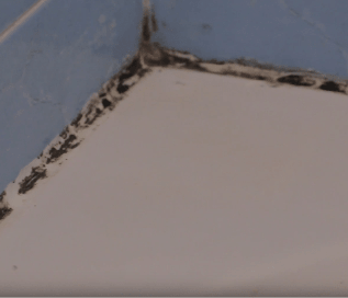 Плесень в ванной комнате